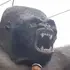 Я Олег, 52, знакомлюсь для регулярного секса в Уфе