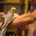Анрдрей из Электростали, ищу на сайте на одну ночь