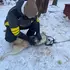 Тима из Уфы, мне 29, познакомлюсь для приятного времяпровождения