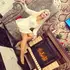 Я Юлия, 38, знакомлюсь для регулярного секса в Краснодаре